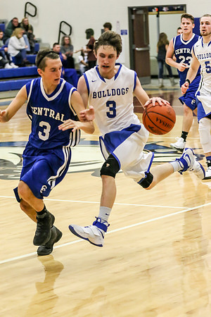 bulldog-33