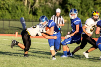 bulldog-18